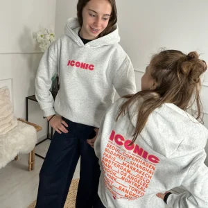 Sweat capuche ICONIC Gris