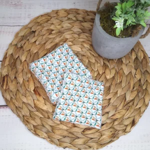 Ensemble de 5 Lingettes démaquillantes